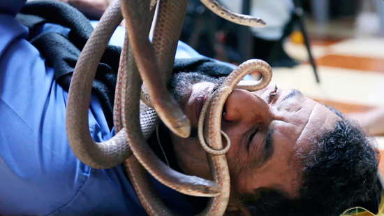 Snakes of Jordan - Mini Documentary